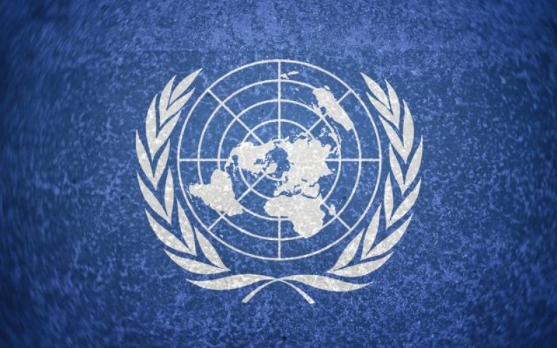 onu-relatores-1-7e1787.jpg