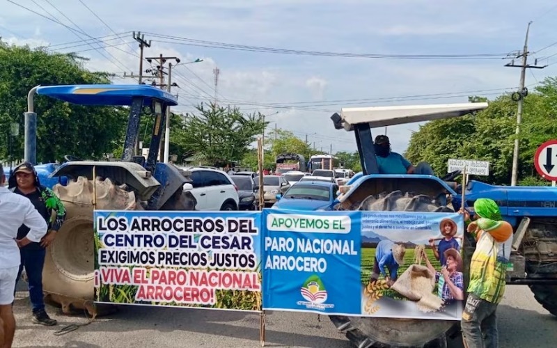 paro-arrocero-1-498a5f.jpg