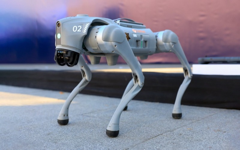 perros-robots-nuevo-leon-61b022.jpg