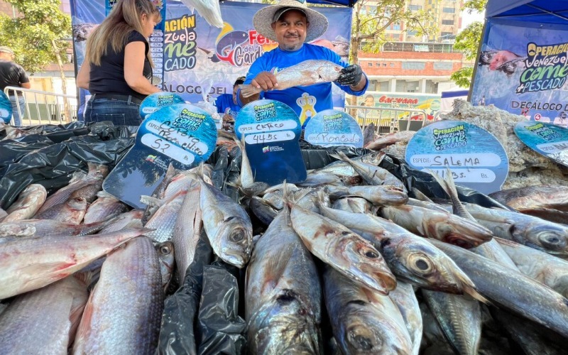pescado-177303.jpg