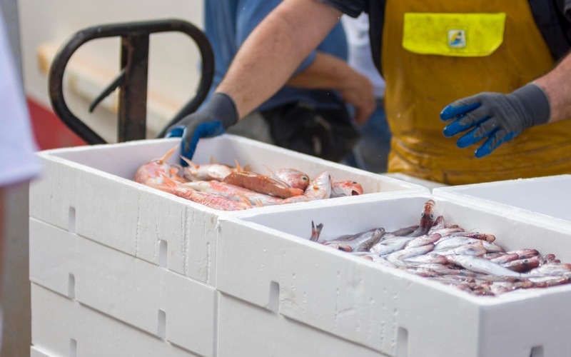 pescador-preparando-pescado-fresco-contenedores-blancos-delicias-oceanicas-2-f2a606.jpg