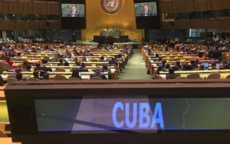photo_5120729494179220890_x-0a03aa.jpg