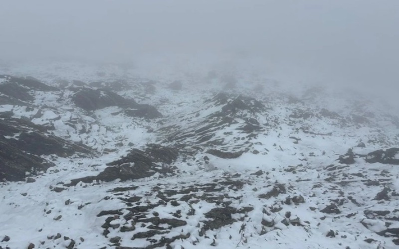 pico-espejo-15b8fc.jpg