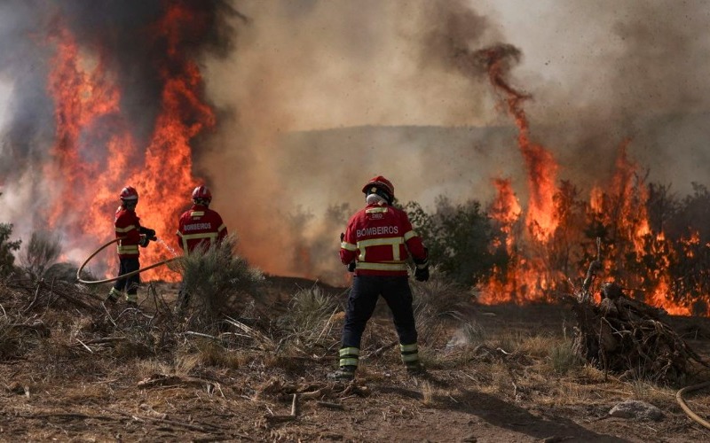 portugal-50753d.jpg
