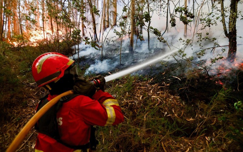 Más de 1.200 bomberos combaten tres nuevos incendios en Portugal