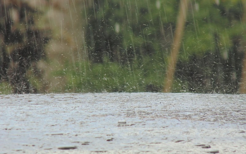 rain-1503572-1280-67a009.jpg