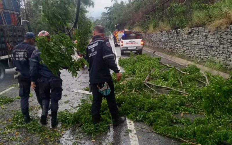 Árbol inclinado obstaculiza la Autopista Gran Cacique Guaicaipuro a la altura del Municipio Libertador