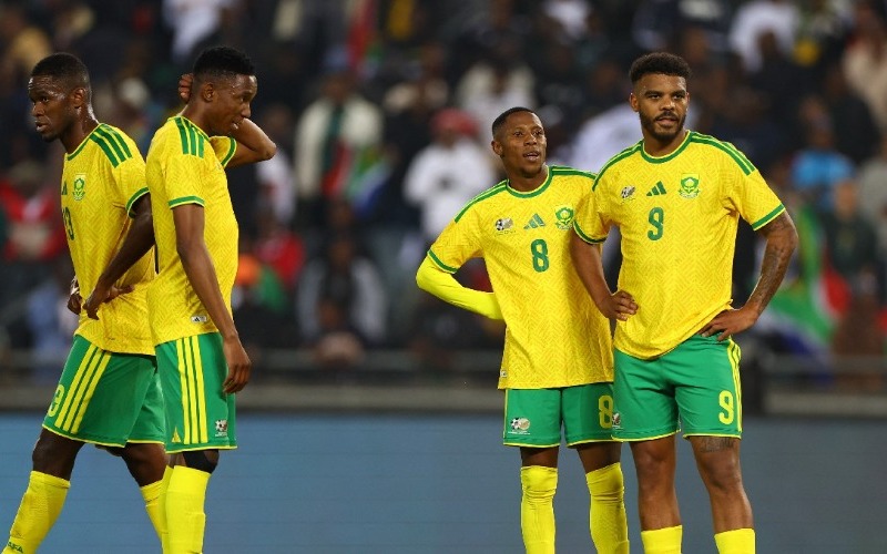 seleccion-sudafrica-retrasa-viaje-mexico-9731f9.jpg