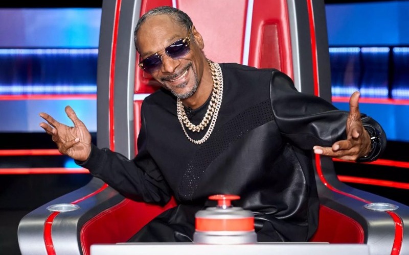 snoop--5e22d0.jpeg