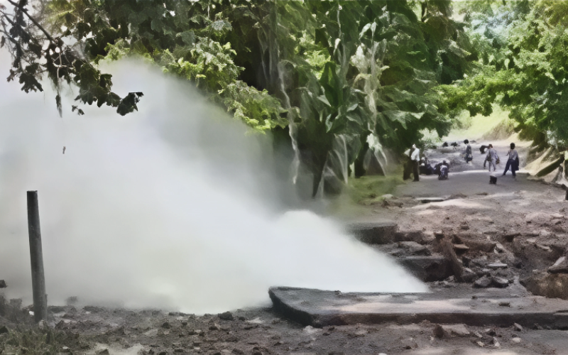 tachira-artguru-47ecc9.png