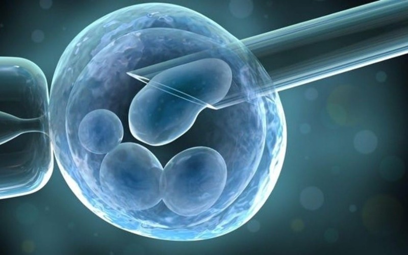 transplante-de-celulas-madre-9813b6.jpg