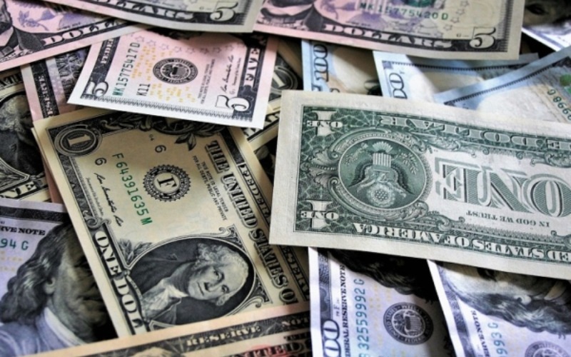 tsize_600x400_divisasdolaresbilletes-971556.jpg