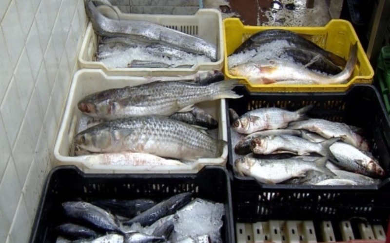 tsize_600x400_pescado-semana-santa-2023-e1704552119969-bbeda0.jpg