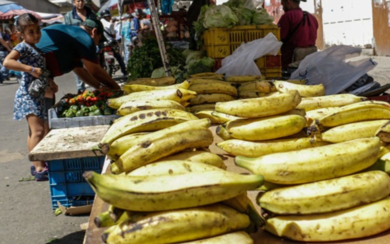 tsize_600x400_platano-e1760723322763-40e107.jpg