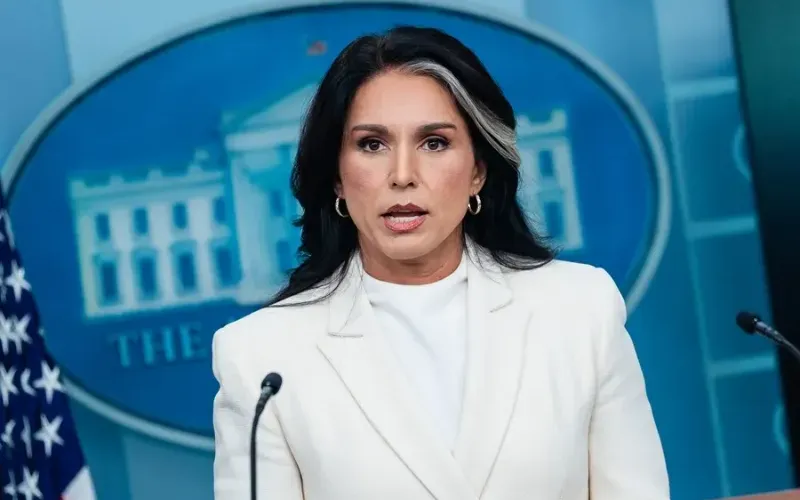 tulsi-gabbard-1-761d6f.webp