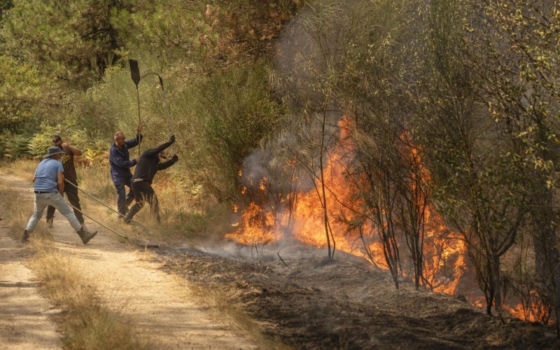 unos-vecinos-trabajan-en-labores-de-extincion-del-incendio-forestal-de-cualedro-ourense-este-domingo-fb5dc2.jpeg